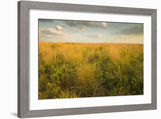 Kissimmee Preserve State Park, Florida-Maresa Pryor-Framed Photographic Print