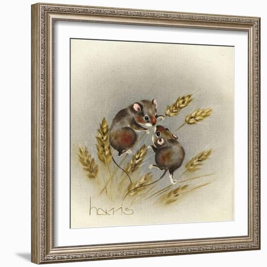 Kissin' Cousins-Peggy Harris-Framed Giclee Print