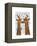 Kissing Giraffes with Birds-Fab Funky-Framed Stretched Canvas