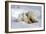 Kissing Polar Bear Cubs-Howard Ruby-Framed Photographic Print