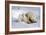 Kissing Polar Bear Cubs-Howard Ruby-Framed Photographic Print