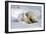 Kissing Polar Bear Cubs-Howard Ruby-Framed Photographic Print