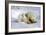 Kissing Polar Bear Cubs-Howard Ruby-Framed Photographic Print