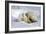 Kissing Polar Bear Cubs-Howard Ruby-Framed Photographic Print