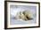 Kissing Polar Bear Cubs-Howard Ruby-Framed Photographic Print