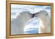 Kissing Polar Bears II-Howard Ruby-Framed Premier Image Canvas