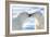 Kissing Polar Bears II-Howard Ruby-Framed Photographic Print