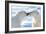 Kissing Polar Bears II-Howard Ruby-Framed Photographic Print