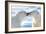 Kissing Polar Bears II-Howard Ruby-Framed Photographic Print