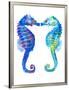 Kissing Seahorse-T.J. Heiser-Framed Giclee Print