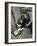 Kissing the Blarney Stone, County Cork, Munster, Eire (Republic of Ireland)-Julia Bayne-Framed Photographic Print