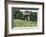 Kit's Coty-CM Dixon-Framed Photographic Print