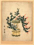 Saru No Hanaike Ni Biwa Monkey Holding a Potted Loquat. Utamaro Ii-Kitagawa II Utamaro-Giclee Print