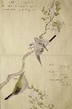 Mallards and a Kingfisher, 1790-Kitagawa Utamaro-Giclee Print