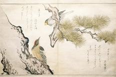 P.332-1946 Vol.1 F.3 Hawfinch and a Woodpecker, from an Album 'Birds Compared in Humorous Songs',…-Kitagawa Utamaro-Giclee Print