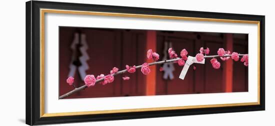 Kitano Tenmangu Kyoto Japan-null-Framed Photographic Print