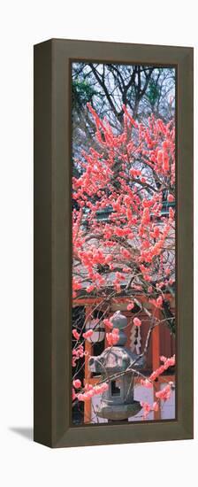 Kitano-Tenmangu Kyoto Japan-null-Framed Stretched Canvas