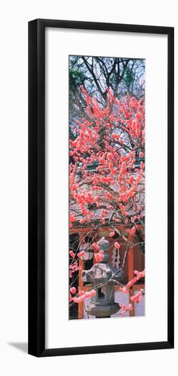 Kitano-Tenmangu Kyoto Japan-null-Framed Premium Photographic Print