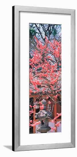 Kitano-Tenmangu Kyoto Japan-null-Framed Premium Photographic Print