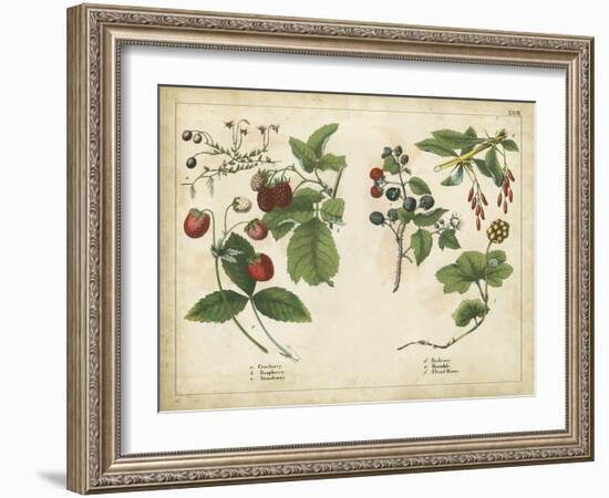 Kitchen Fruits II-null-Framed Art Print