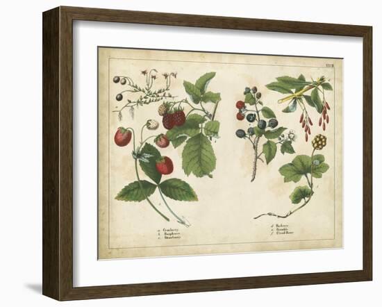 Kitchen Fruits II-null-Framed Art Print