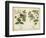 Kitchen Fruits II-null-Framed Premium Giclee Print