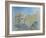 Kitchen Garden, Sana'A, North Yemen, 1975-James Reeve-Framed Giclee Print