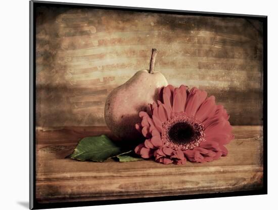 Kitchen Pear 1-LightBoxJournal-Mounted Giclee Print