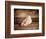 Kitchen Pear 2-LightBoxJournal-Framed Giclee Print