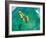 Kite Boarding. Fun in the Ocean, Extreme Sport. POV View from Action Camera.-EpicStockMedia-Framed Photographic Print