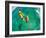 Kite Boarding. Fun in the Ocean, Extreme Sport. POV View from Action Camera.-EpicStockMedia-Framed Photographic Print