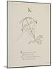 Kite Illustrations and Verses From Nonsense Alphabets Drawn and Written by Edward Lear.-Edward Lear-Mounted Giclee Print