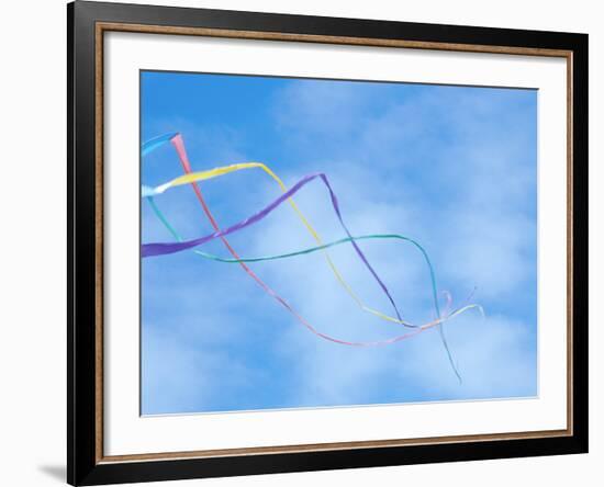 Kite on the Beach, Long Beach, Washington, USA-Merrill Images-Framed Photographic Print