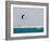 Kite Surfing at Santa Maria on the Island of Sal (Salt), Cape Verde Islands, Africa-R H Productions-Framed Photographic Print