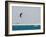 Kite Surfing at Santa Maria on the Island of Sal (Salt), Cape Verde Islands, Africa-R H Productions-Framed Photographic Print