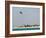 Kite Surfing at Santa Maria on the Island of Sal (Salt), Cape Verde Islands, Africa-R H Productions-Framed Photographic Print