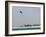 Kite Surfing at Santa Maria on the Island of Sal (Salt), Cape Verde Islands, Africa-R H Productions-Framed Photographic Print