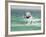 Kite Surfing at Santa Maria on the Island of Sal (Salt), Cape Verde Islands, Atlantic Ocean, Africa-Robert Harding-Framed Photographic Print