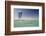 Kite Surfing on Red Sea Coast of Egypt, North Africa, Africa-Louise-Framed Photographic Print