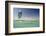 Kite Surfing on Red Sea Coast of Egypt, North Africa, Africa-Louise-Framed Photographic Print