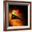 Kite-Mark James Gaylard-Framed Photographic Print