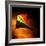 Kite-Mark James Gaylard-Framed Photographic Print