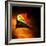 Kite-Mark James Gaylard-Framed Photographic Print