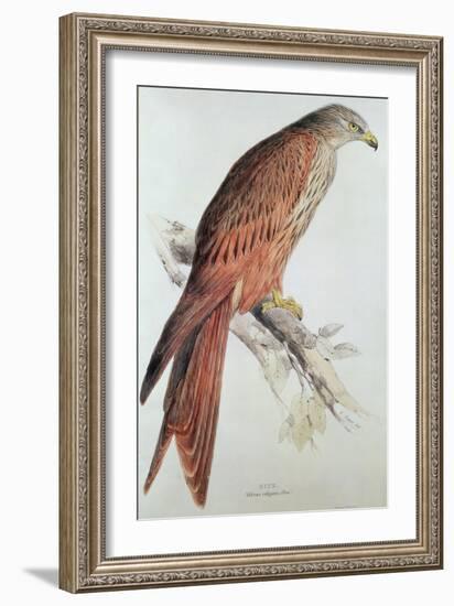 Kite-Edward Lear-Framed Giclee Print