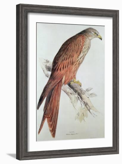 Kite-Edward Lear-Framed Giclee Print