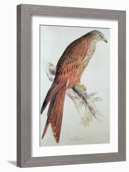 Kite-Edward Lear-Framed Giclee Print