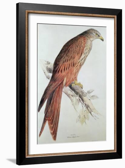 Kite-Edward Lear-Framed Giclee Print