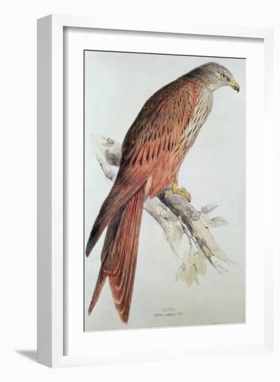 Kite-Edward Lear-Framed Giclee Print