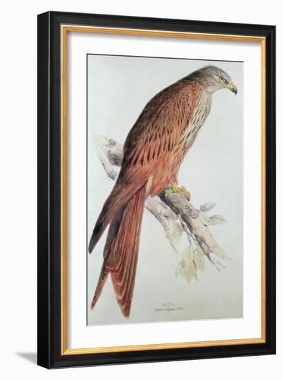 Kite-Edward Lear-Framed Giclee Print