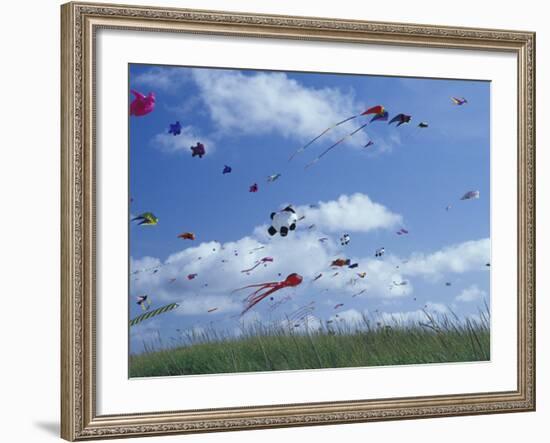 Kites Flying Along the Coastline, International Kite Festival, Long Beach, Washington, USA-Merrill Images-Framed Photographic Print